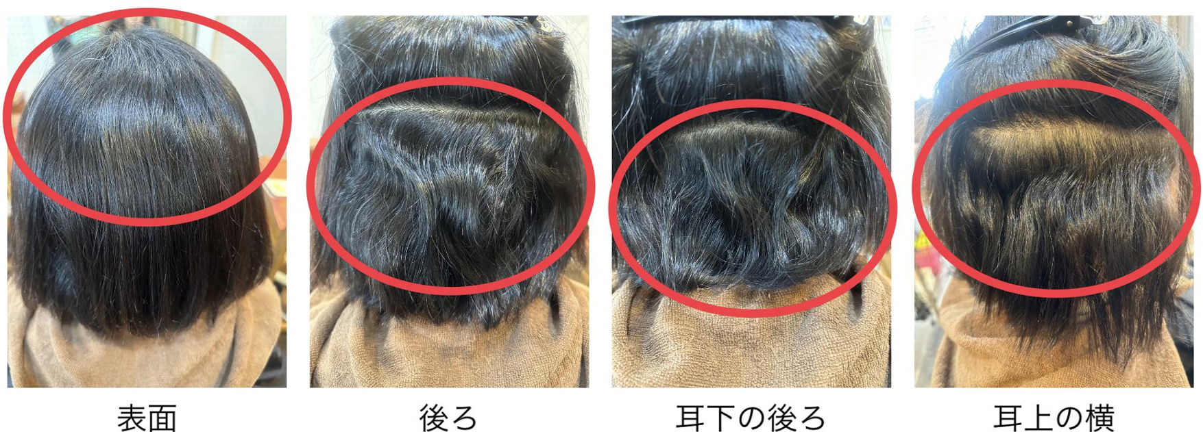 くせの種類