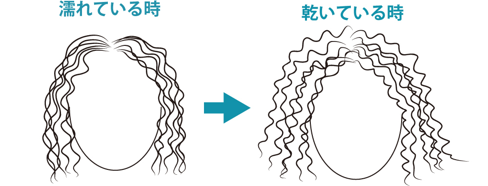 髪質による癖
