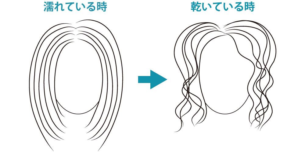 髪質による癖